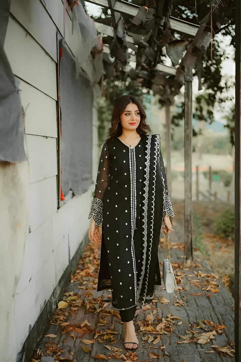 Black Beauty Stitched RivaajFashion